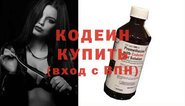 дживик Володарск