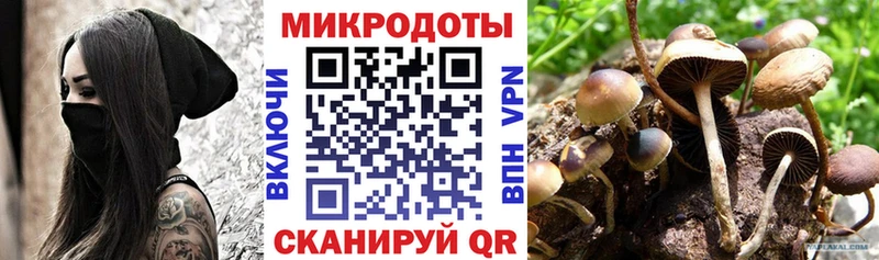 Галлюциногенные грибы ЛСД  Переславль-Залесский 